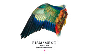 Firmament